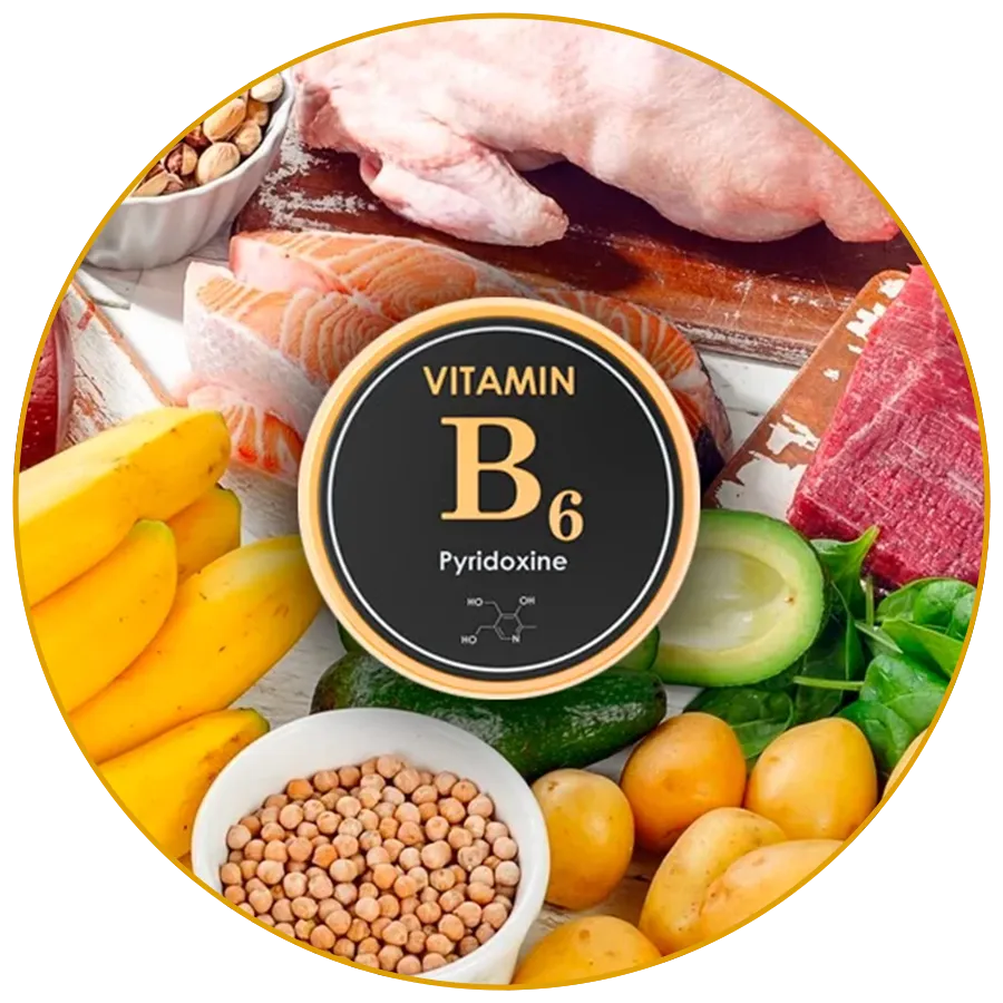 VITAMINA B6
